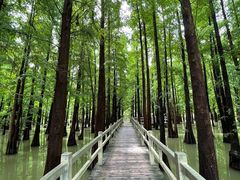 -星湖旅游景区七星岩