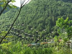 -蝶舞清江·恩施地心谷景区