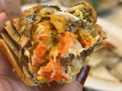 清蒸阳澄湖大闸蟹-万龙洲海鲜(南新仓店)