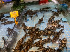 -79号渔船海鲜饭店(宝安店)