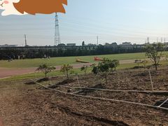 -迪茵湖田家舍生态农场