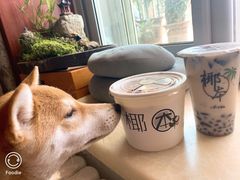 -津椰本·海南正宗椰奶清补凉(店一店)