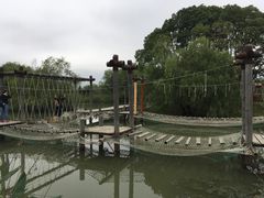 -长兴太湖图影湿地文化园