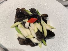 -鱼翅楼·津派砂锅鱼翅(水上公园店)