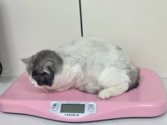 -贝康宠物医院·犬猫全科·小动物特色诊疗中心(东环路店)