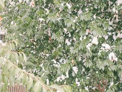 -河南省黄河迎宾馆