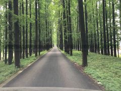 -上海海事大学(临港校区)