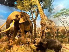 -陕西自然博物馆