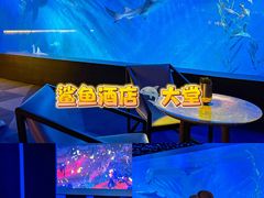 -波塞冬旅游度假区