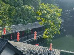 -侨美·唐荔园·40年地道粤菜