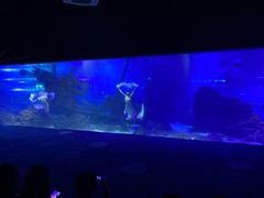 -江和美海洋公园