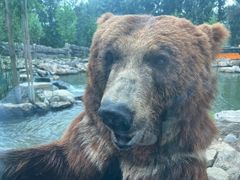 -北京野生动物园