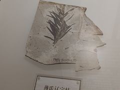 -辽宁古生物博物馆