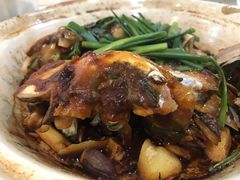 沙锅鱼头煲-荔枝楼酒家(员村东璟店)