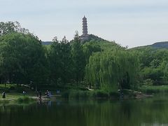 -北坞公园