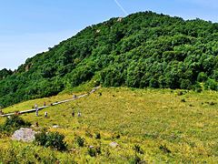 -白草畔自然风景区