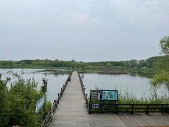 -溱湖国家湿地公园