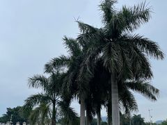 -石炮台公园