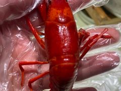 -聚味瞿记·龙虾堂(咸嘉湖店)