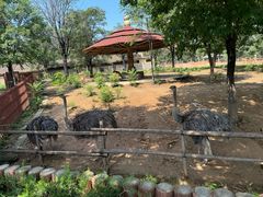 -石家庄市动物园