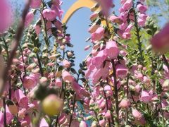 -紫竹院公园-东门停车场