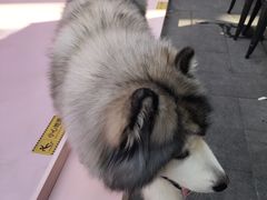 -Money Shops(愚园路店)