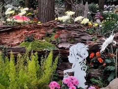 -共青国家森林公园-售票处