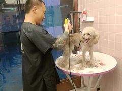 -FAELING PETS美天灵宠物(富力广场店)