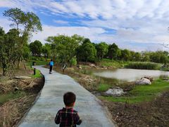 -春花秋色城市公园