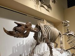 -国家自然博物馆