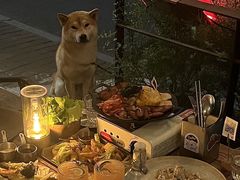 -鹿萤季·营地小馆(皇后公园店)