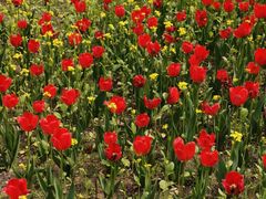 -长春公园(普阳街道)