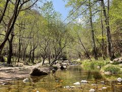 -玉渡山自然风景区