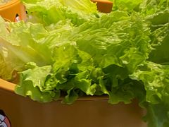 -龍歌自助小火锅(城阳万象汇店)