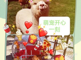 整体环境:儿童乐园打造的非常好ﾉ