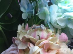 -威德钻石-克拉钻大本营(南京东路店)