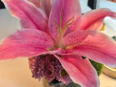 -芙蓉堂(武汉天地店)