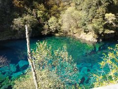 -叠溪松坪沟景区