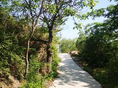 -云岫谷游猎自然风景区