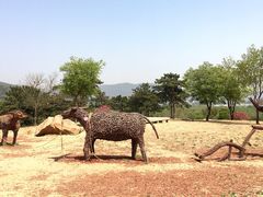 -北京西山国家森林公园