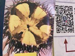 -HIHE Bistro·Oyster Bar(华熙live店)