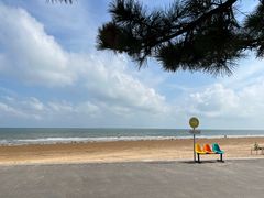 -日照海滨国家森林公园