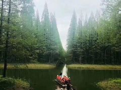 -黄海国家森林公园