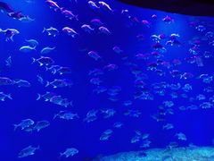 -波塞冬旅游度假区