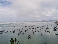 -枸杞岛