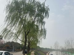 -洨河生态公园