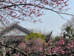 -杭州西子湖四季酒店-WL BISTRO西湖餐厅(灵隐路店)