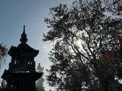 -南岳衡山风景名胜区-南岳大庙