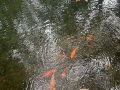 -杭州城中香格里拉大酒店