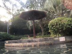 -常州环球恐龙城维景国际大酒店